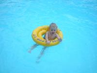Atticus either loves or hates the pool_th.jpg 3.5K